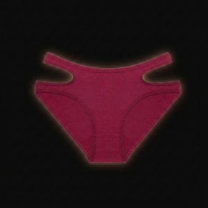 Women Waist Cross Design Underwear (Model 128)